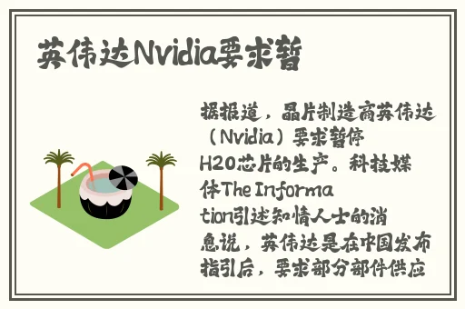 星空视频大全免费观看下载